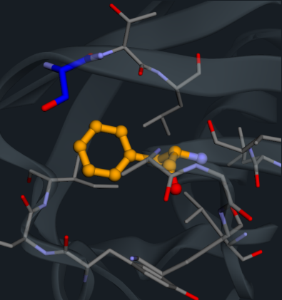 Static input geometry: Phe45 in orange, surrounded by its protein neighbors.